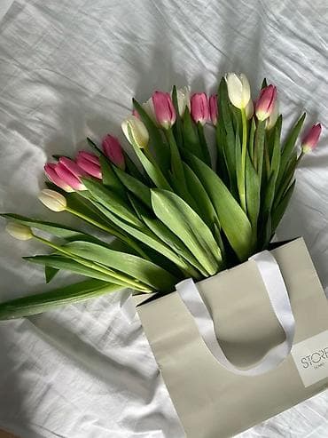 Другие товары для дома: Тюльпаны в упаковке/пакетах - Срезанные тюльпаны свежей выгонки — 4
