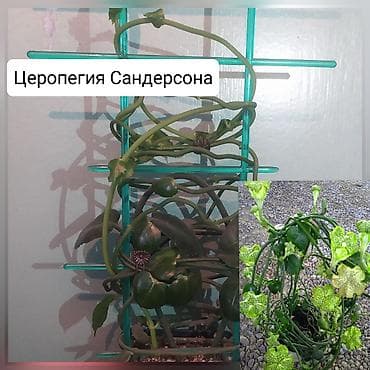 полный курс русского языка 2 класс ответы: Продаю цветы — 3