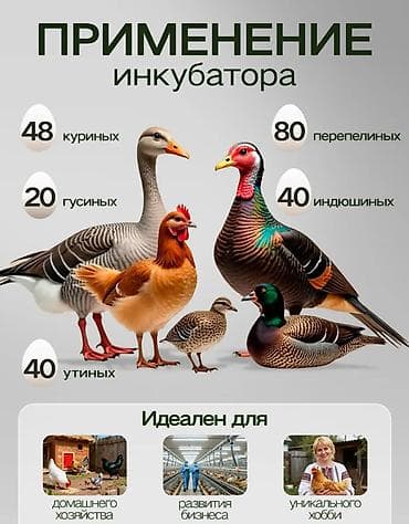 Оборудование для производства: Инкубатор для яиц WONEGG на 48 яиц - Вместимость: до 48 — 9