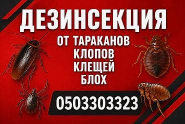 Дезинсекция помещений. Профессиональная обработка от: - тараканов - — 1