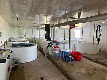 нижний чуй: 🐟 Продаётся действующее рыбное хозяйство с развитой инфраструктурой 📍 — 10