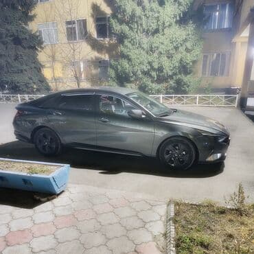 по всем вопросам обращаться по номеру: Hyundai Avante: 2021 г., 1.6 л, Гибрид, Седан — 2