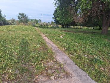 продается орошаемая земля в жайылско районе алтыр будёновка 5 40 гектар цена договорная с довой проблем нету оформление сразу: 43 соток, Для бизнеса, Красная книга — 3