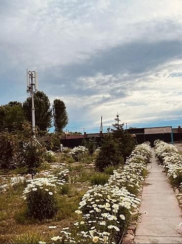 Готовый бизнес: Коттедж на территории городка Лагуна Сити село Кожояр. Вторая линия от — 5