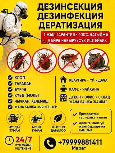 Профессиональные услуги: дезинсекция, дезинфекция, дератизация. Что