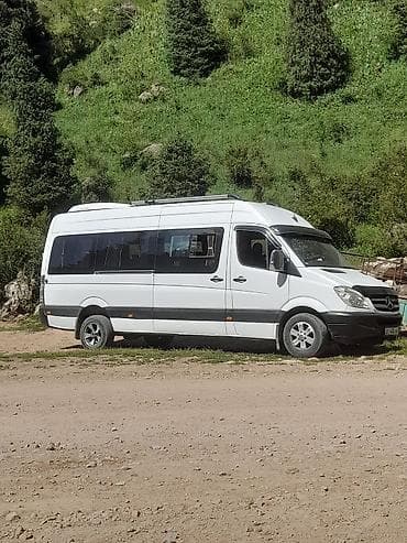 монитор 19: Mercedes-Benz Sprinter (длиннобазный, высокие борта) — пассажирский — 1