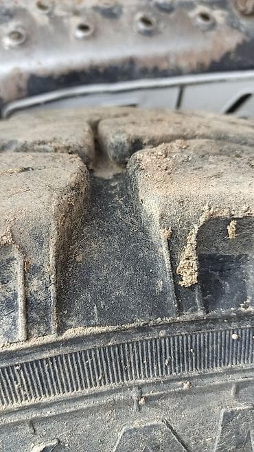 резина 15 с: Шины R 20, Всесезонная, Грузовики/Автобусы, Kama — 2