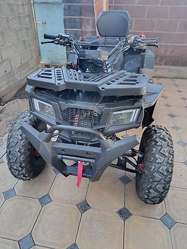 beta fpv: Квадроцикл Бензин, 200 куб. см, Взрослый — 2