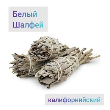 Белый калифорнийский шалфей. Продается небольшими связками от 90 до