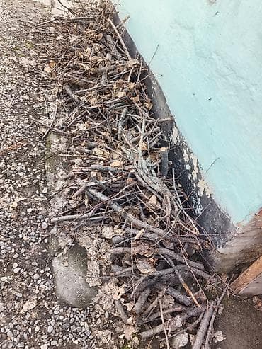 титан металл: Дрова — 2