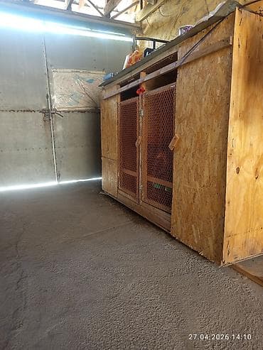 маскитная сетка ош: Деревянный вольер/клетка для продаю срочно животных и птицы из ОСБ - — 7