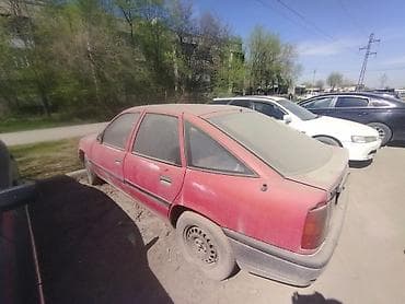 1981: Opel : 1991 г. — 3
