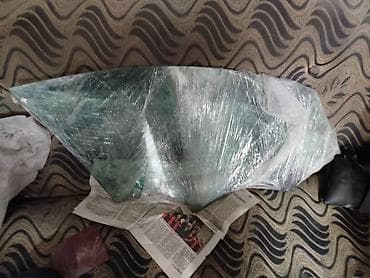 Котёнок пародия-скоттиш страйт -есть свой домик и горшок - Окрас — 6