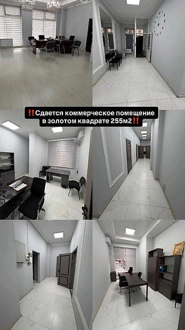 Сдается в долгосрочную аренду офисное помещение площадью 255 кв.м (1