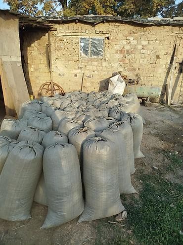 Отопление и нагреватели: Древесная опилка, идеально подходящая для использования в качестве — 3