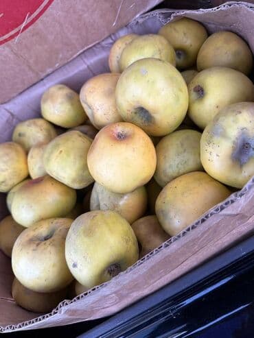 эмалированная кострюля: Яблоки — 1