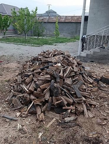 леса сатып алам: Дрова Самовывоз — 3
