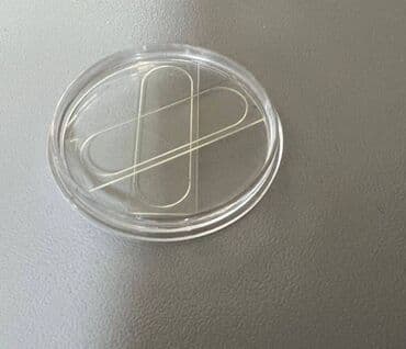 защитное стекло на камеру: Пленка защитная на объектив телефона, размер 25 мм х 7,5 мм — 1