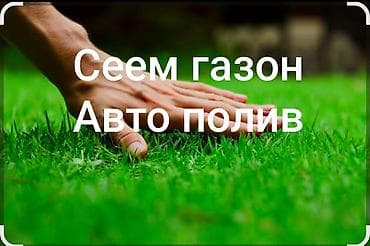 Профессиональное устройство и обслуживание газонов - Создание газона