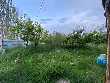 участок исык куле: 12 соток, Для сельского хозяйства — 2