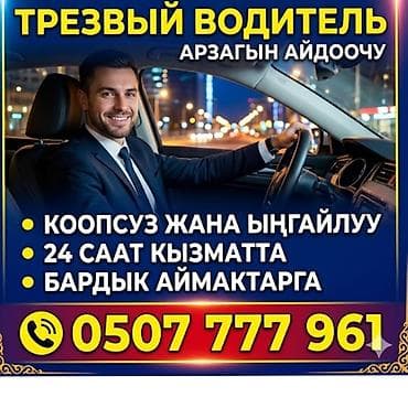 трезвый: Услуга «Трезвый водитель» - Профессиональный водитель доставит вас и — 1