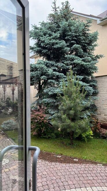 дом дорогой: 270 м², 7 комнат, Забор, огорожен, Кондиционер, Парковка — 14