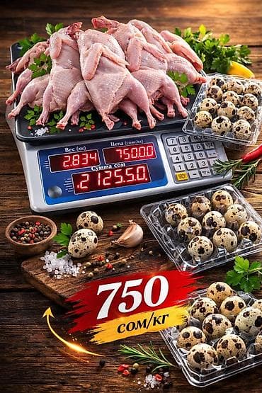 Көк чөптөр жана микро жашылчалар: Перепела и перепелиные яйца - Охлаждённые тушки перепела — 1