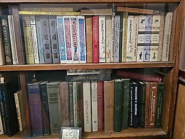 биог: Книжный шкаф, Дерево — 4