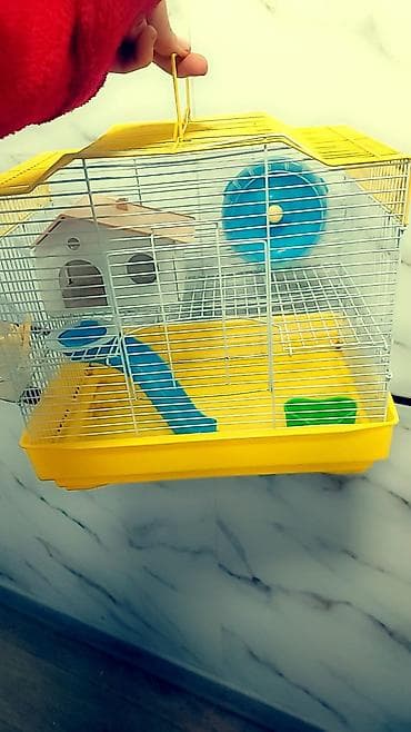 Үй жаныбарлары үчүн товарлар: Клетки для хомяков с комплектом аксессуаров. Варианты: - — 6