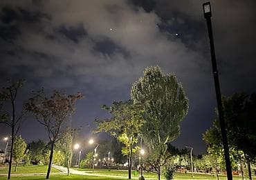 3 соток, Для строительства, Красная книга — 5