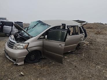 3uz fe: Toyota Alphard: 2003 г., 3 л, Автомат, Газ, Минивэн — 1