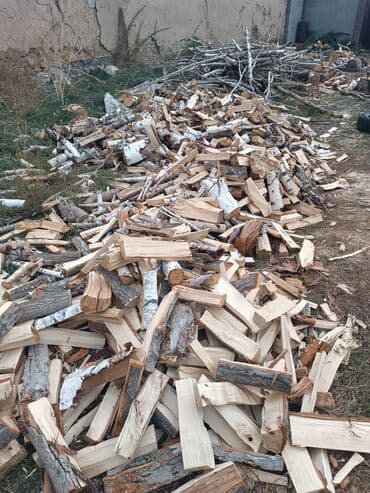 сколько стоит кубометр дров: Жалбырактуу бактар — 2