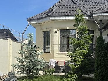 Цена договорная В продаже Ель голубая (Picea pungens ‘Glauca’) — — 3