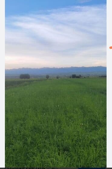 Продажа участков: 6 соток — 3