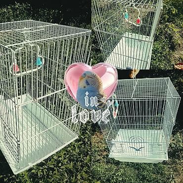 неразлучник: Клетка для мелких птиц🦜 не большого размера 45 в высоте и 30 длина — 2