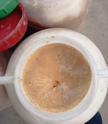 Мёд: Бал сатылат бачогу . Таза бал. Бир бачокто 24л, 34кг чыгат — 2