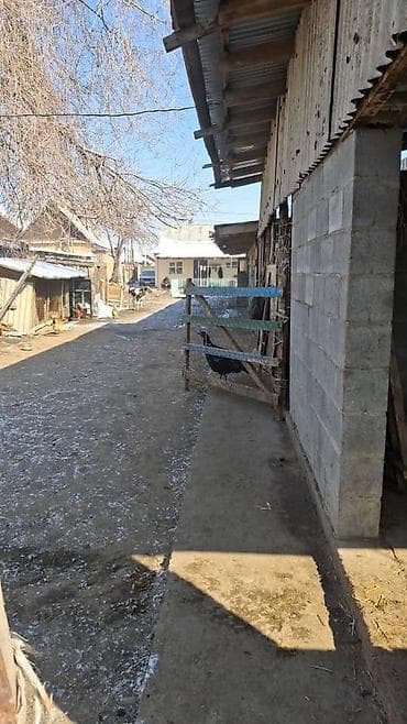 участок лесной: 13 соток — 2