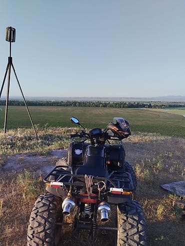 мотоцикл сузики: Квадроцикл Бензин, 180 куб. см, Взрослый — 3