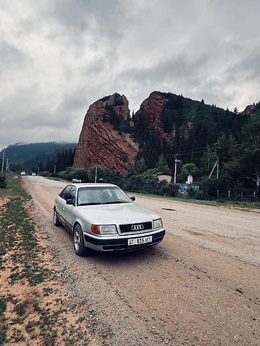 Унаа: Audi 100: 1993 г., Бензин, Седан — 3