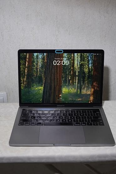 pro 13: Ноутбук Apple MacBook Pro 13.3" 2019 i5-8257U 8th Gen/Intel Iris Plus — 9