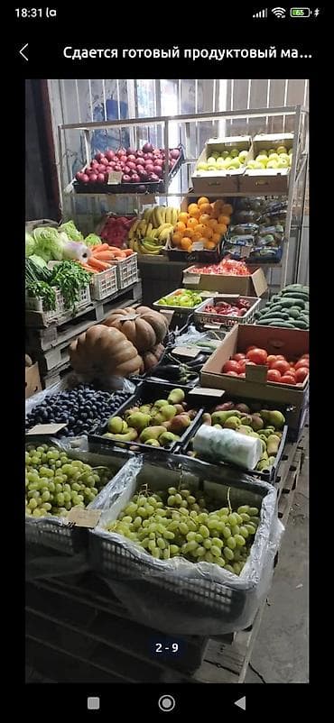 Промышленная химия: Магазин срочно арендага берилет,товар и оборудование сатылат,500000мин — 6