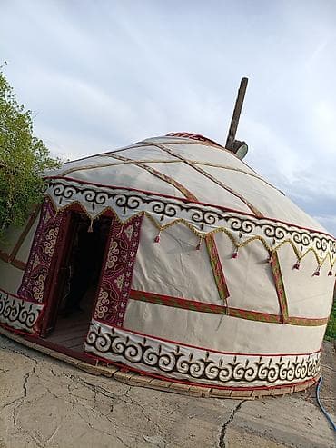 Юрта кыргыз Боз уй сатылат 6 канат 85 баш абалы жакшы баасы 250 000мин — 1