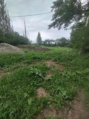 20 тон контейнер у: 18 соток — 2