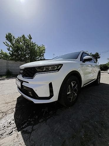 зимний резина 14: Kia Sorento: 2021 г., 2.2 л, Автомат, Дизель, Кроссовер — 6