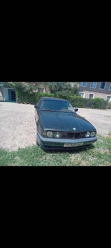 краска авто: BMW 5 series: 1995 г., Седан — 4