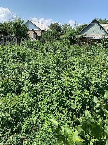 Үйлөр: Дача/садовый участок с домиком и хозпостройками в г. Кара-Балта, дача — 9