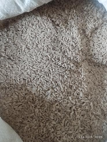 куплю орех: Рис в мешках, несколько типов шлифовки и крупности. - Вид: рис — 1