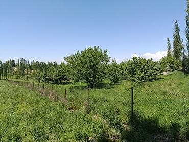 земля посевная: 60 соток, Для сельского хозяйства — 4