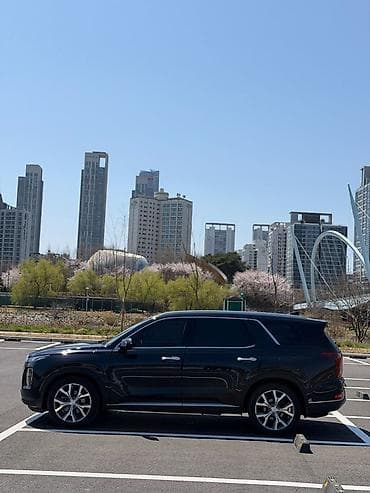 hyunda: Hyundai Palisade: 2020 г., 2.2 л, Кроссовер — 8