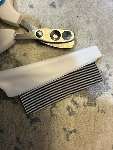 Килем жуучу аппараттар: Шаймандар топтому, Orient, Deli, Force, Жаңы, Өзү алып кетүү — 4